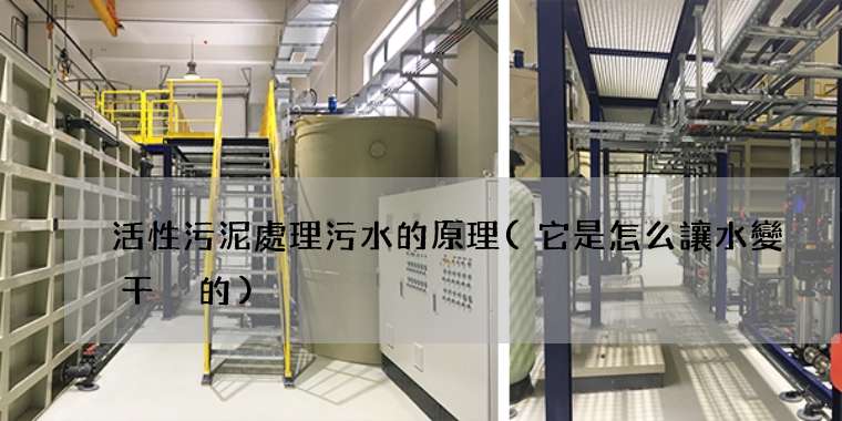 活性污泥處理污水的原理(它是怎么讓水變干凈的)